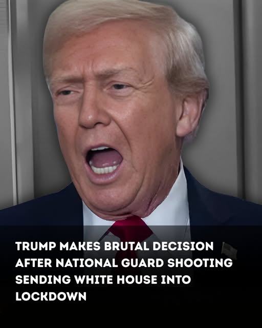 Trump makes brutal decision after National Guard shooting sending White House into lockdown