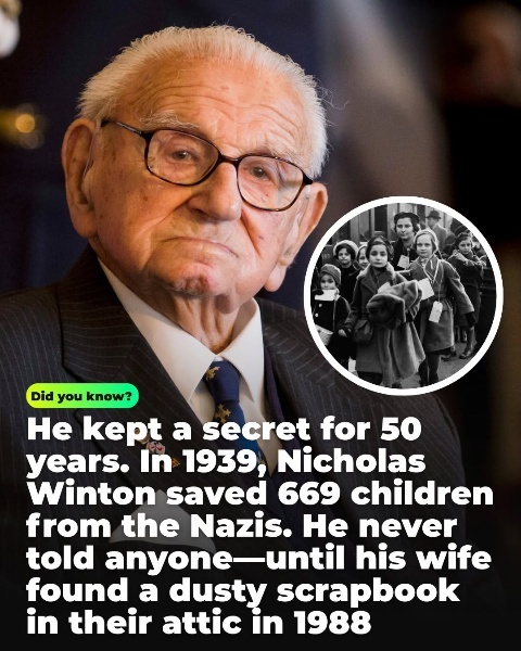 Jami Gertz: Outperformed numerous stars in her career, yet stays largely out of the spotlight